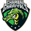 Chambal Ghariyals Women Flag