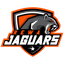 Rewa Jaguars Flag