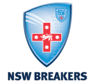 Team logo