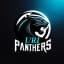 Uri Panthers Flag