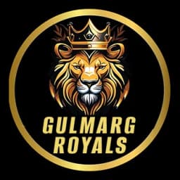 Team logo